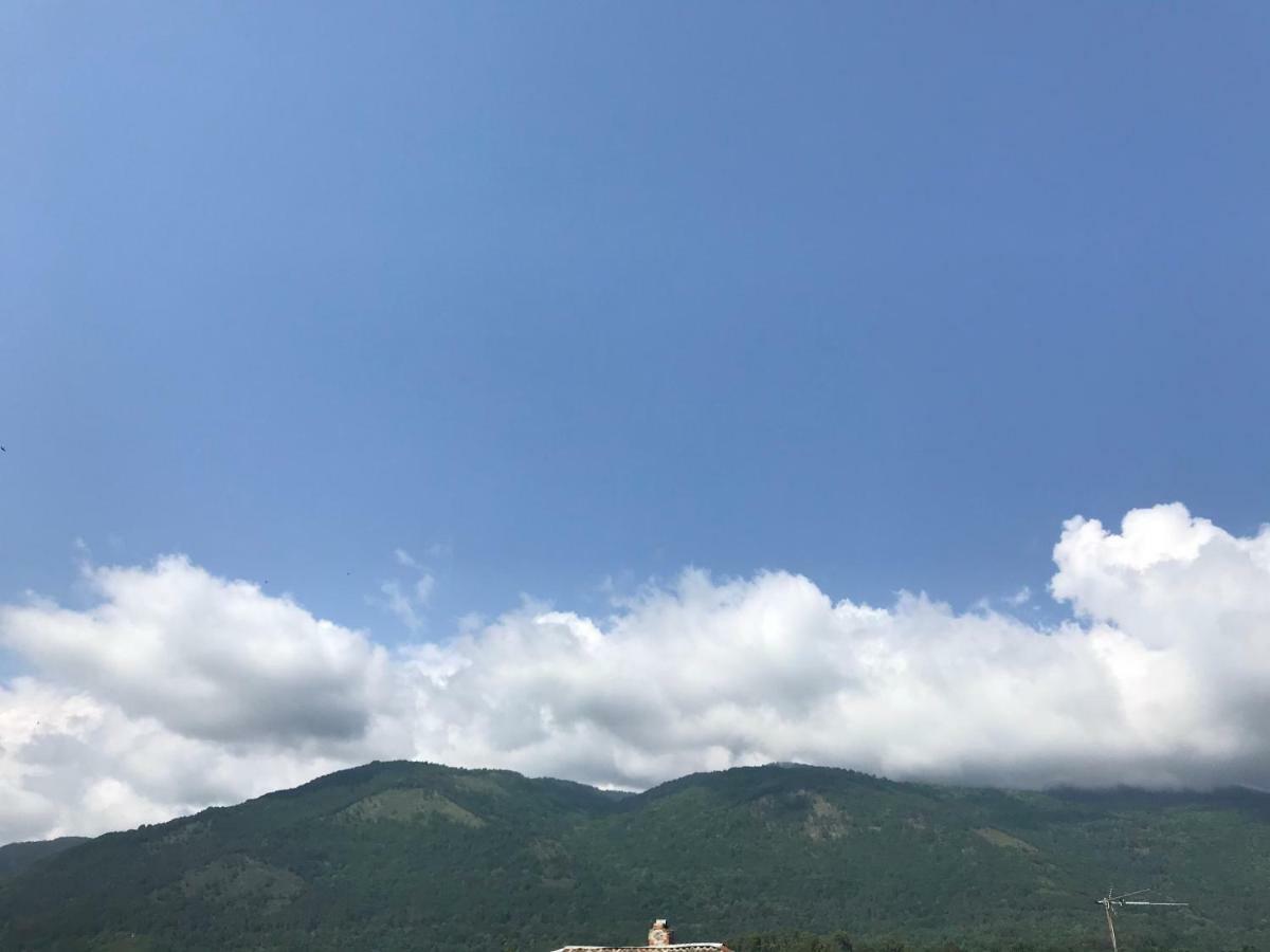 Гостевой Дом С Садом Hotell Gagra Exteriör bild